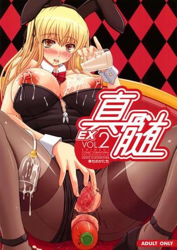 shinzui ex vol 2 cover