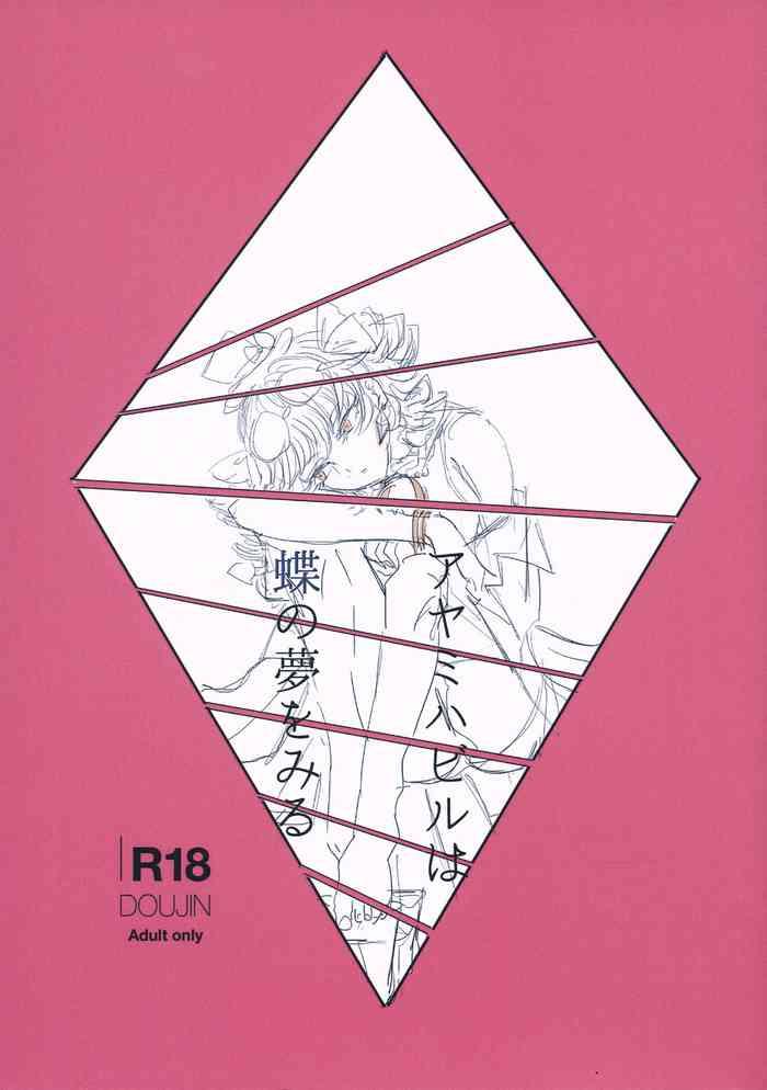 cover 16