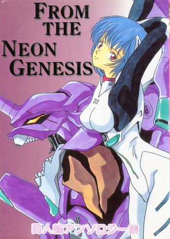from the neon genesis 01 cover
