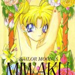 sailor moon s miwaku cover