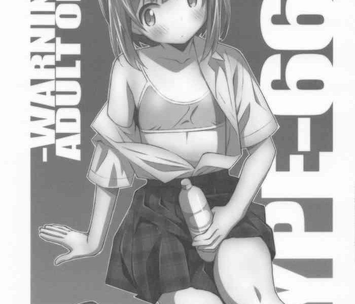 type 66a cover