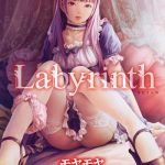 labyrinth cover