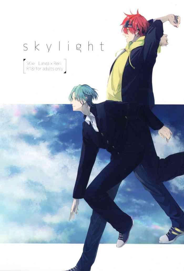 skylight cover