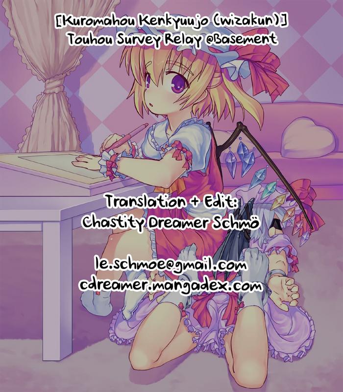 touhou survey relay basement cover