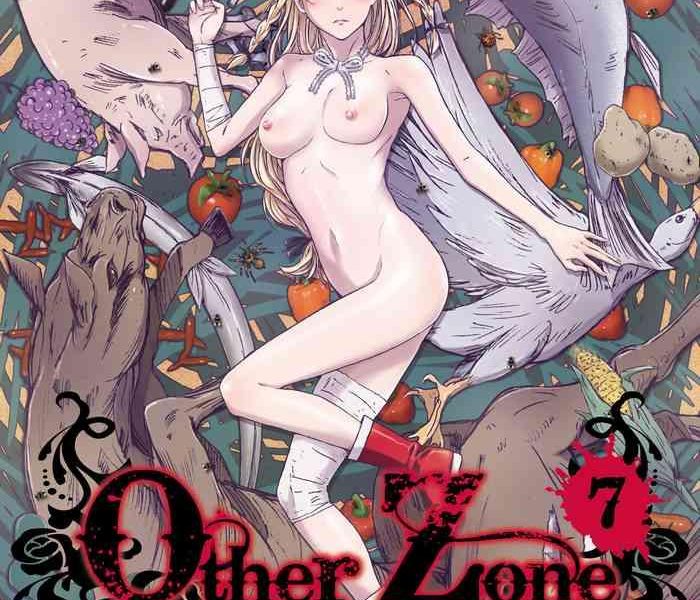 other zone 7 cover