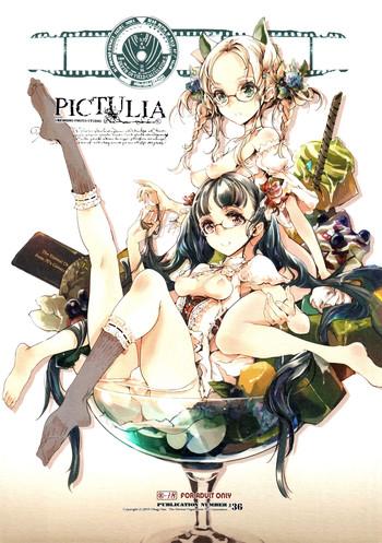 pictulia 4p leaflet cover