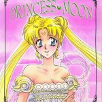 princess moon cover