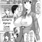 sister x27 s apron love cover