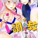 cover 11