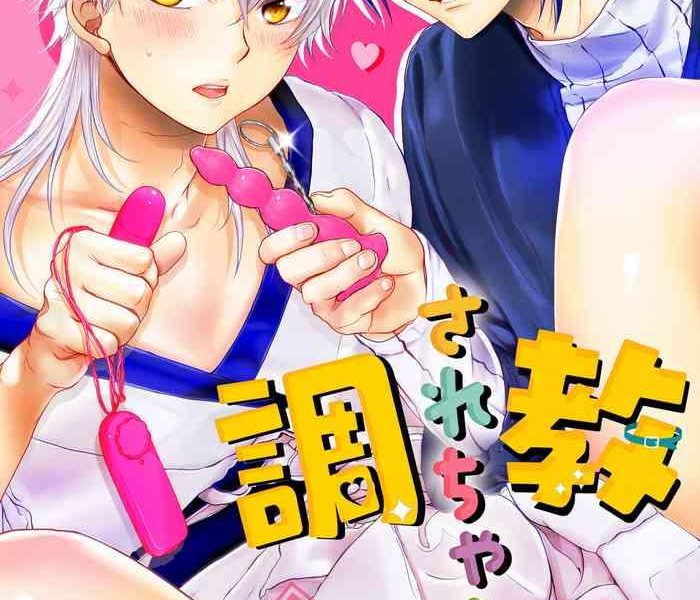 cover 11