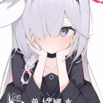 plana hon cover
